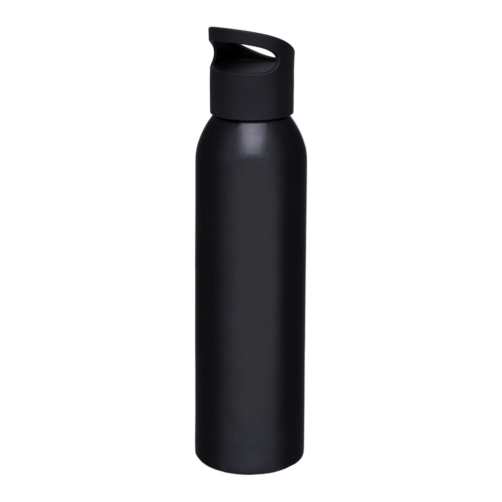 Sky 650 ml water bottle