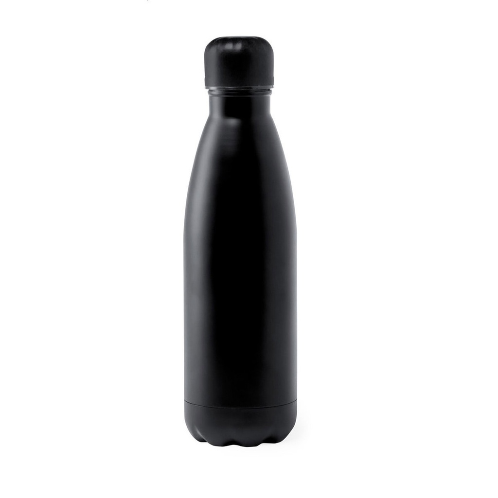 Stainless Steel Bottle