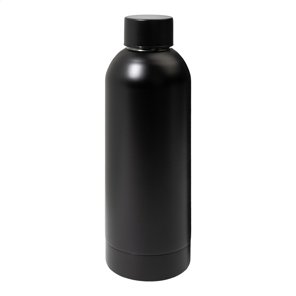 Stainless Steel Bottle