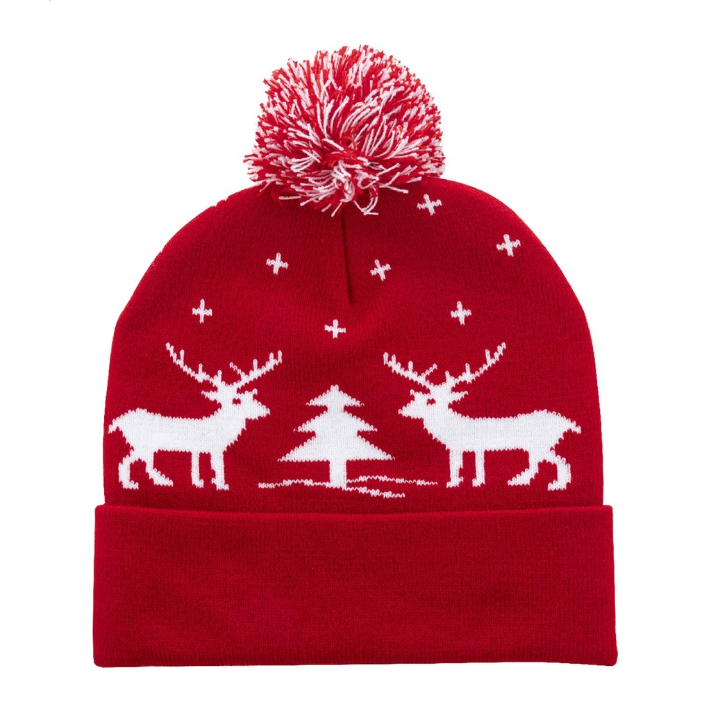 Christmas Winter Hat