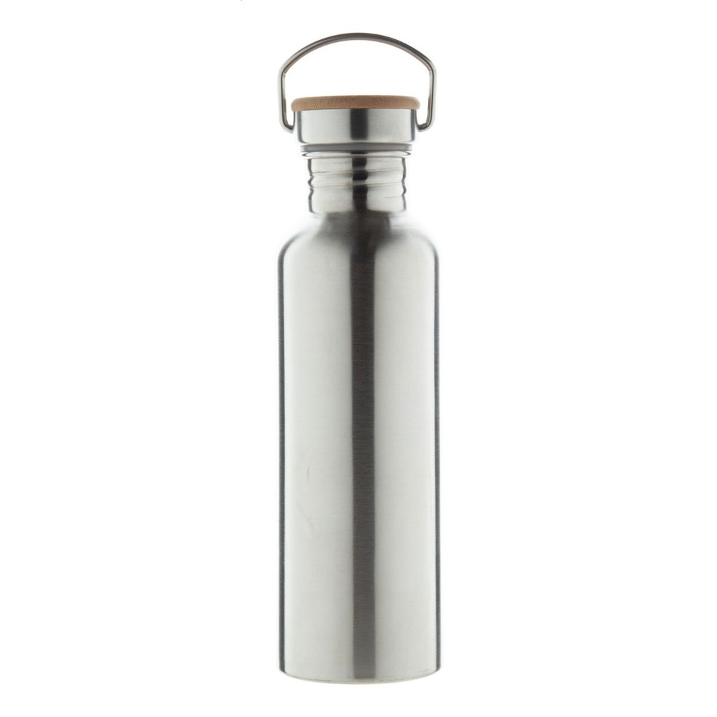 Stainless Steel Bottle