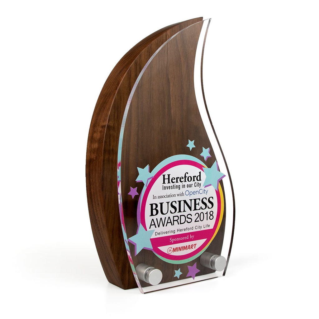 Flame Award 80mm x 150mm With Acrylic Front