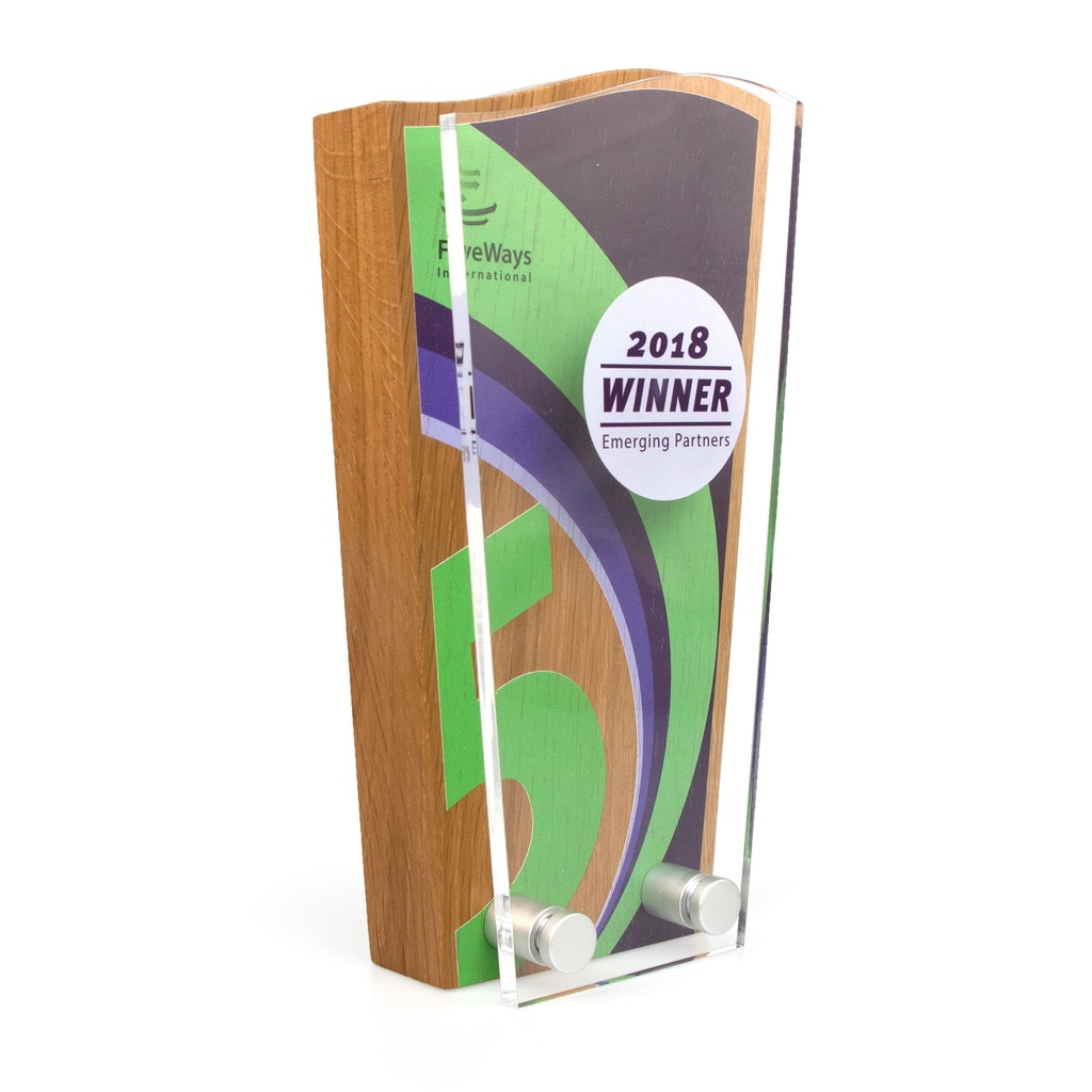 Wave Top Award 80mm x 150mm With Acrylic Front
