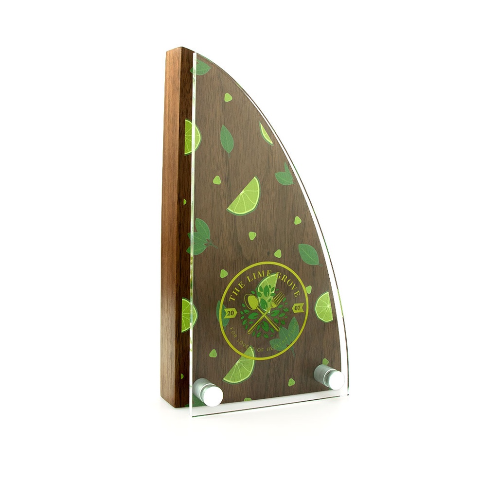 Sail Award 95mm x 175mm With Acrylic Front