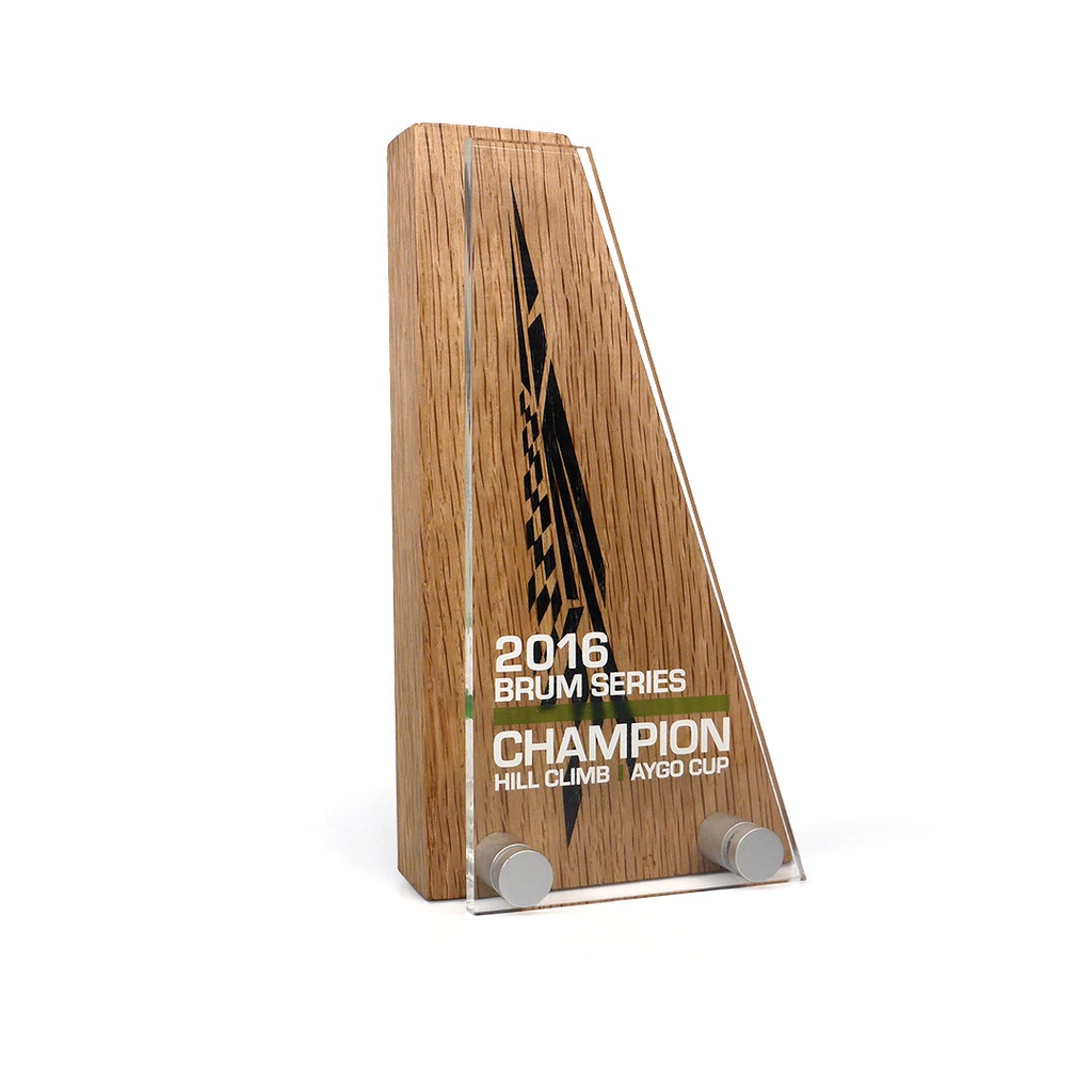 Wedge Award 110mm x 200mm With Acrylic Front