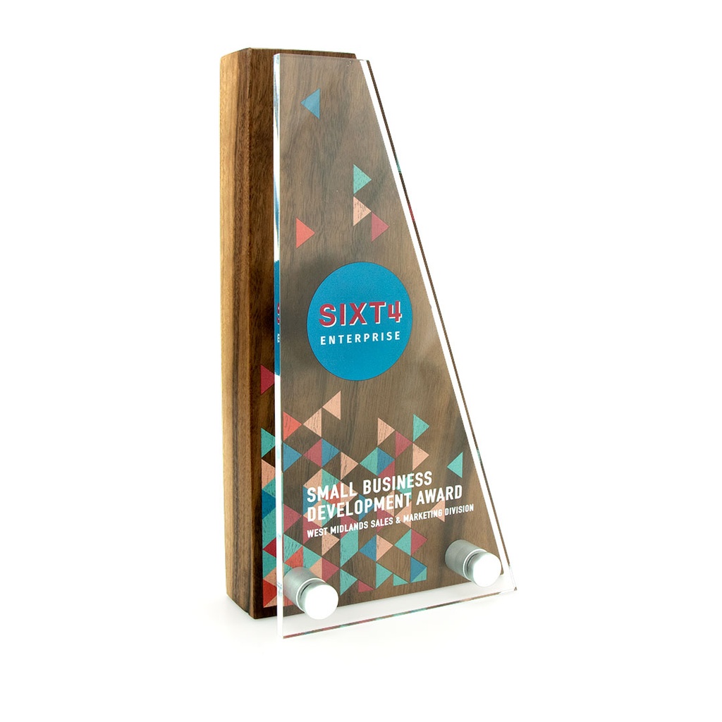 Wedge Award 125mm x 225mm With Acrylic Front
