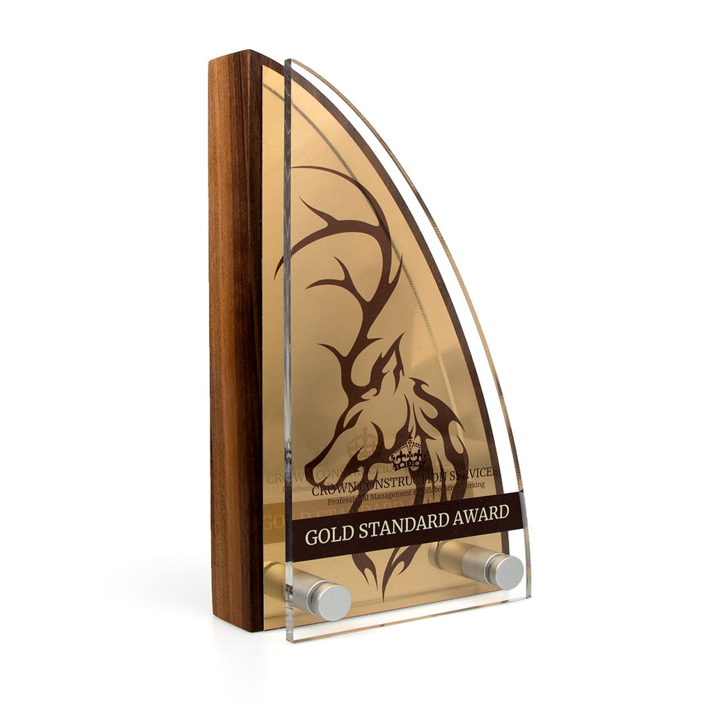 Sail Award 125mm x 225mm With Metal Plate & Acrylic Front