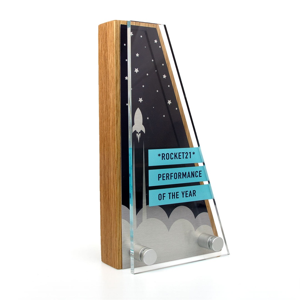 Wedge Award 95mm x 175mm With Metal Plate & Acrylic Front