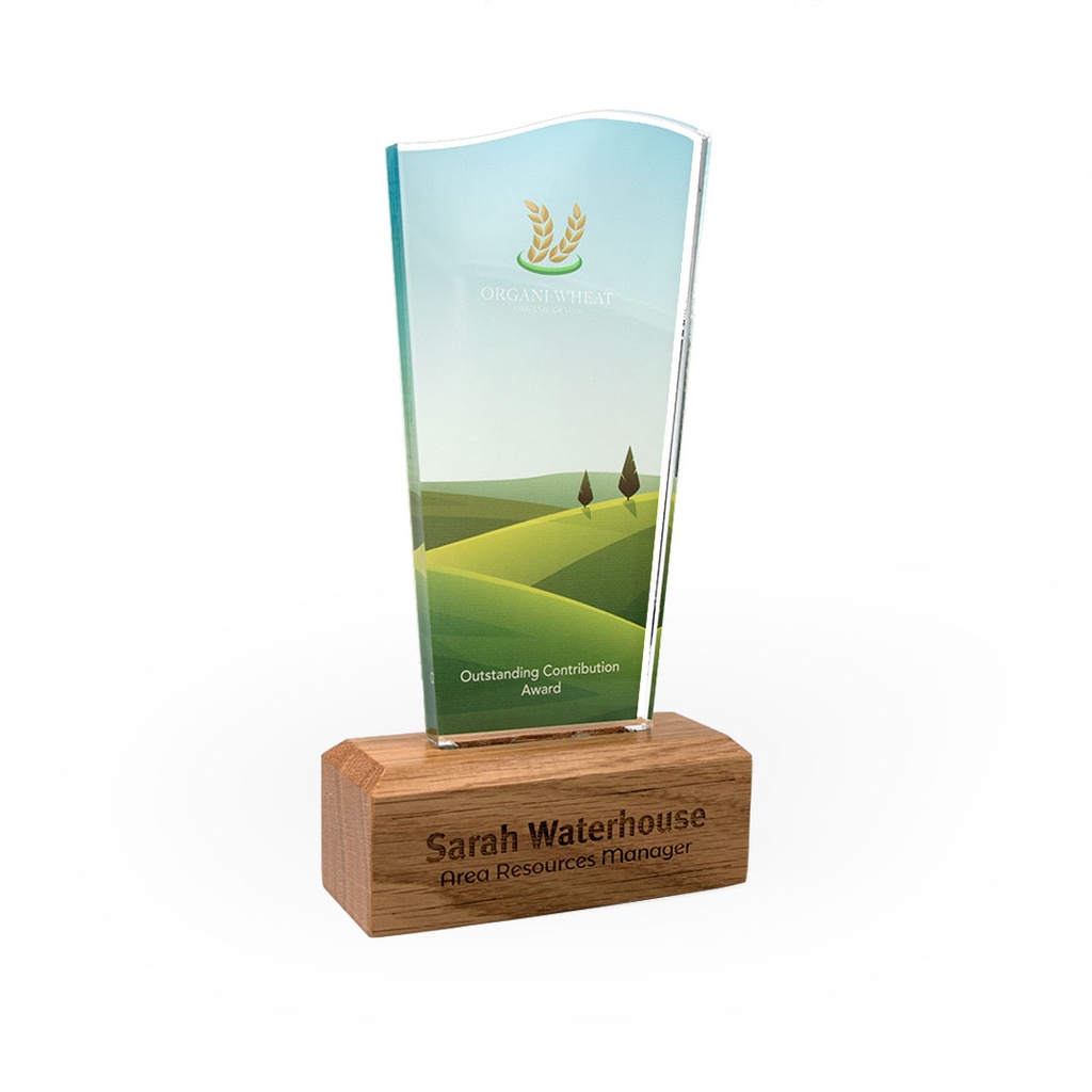 Wave Acrylic Award 95mm x 175mm With 28mm Wooden Base