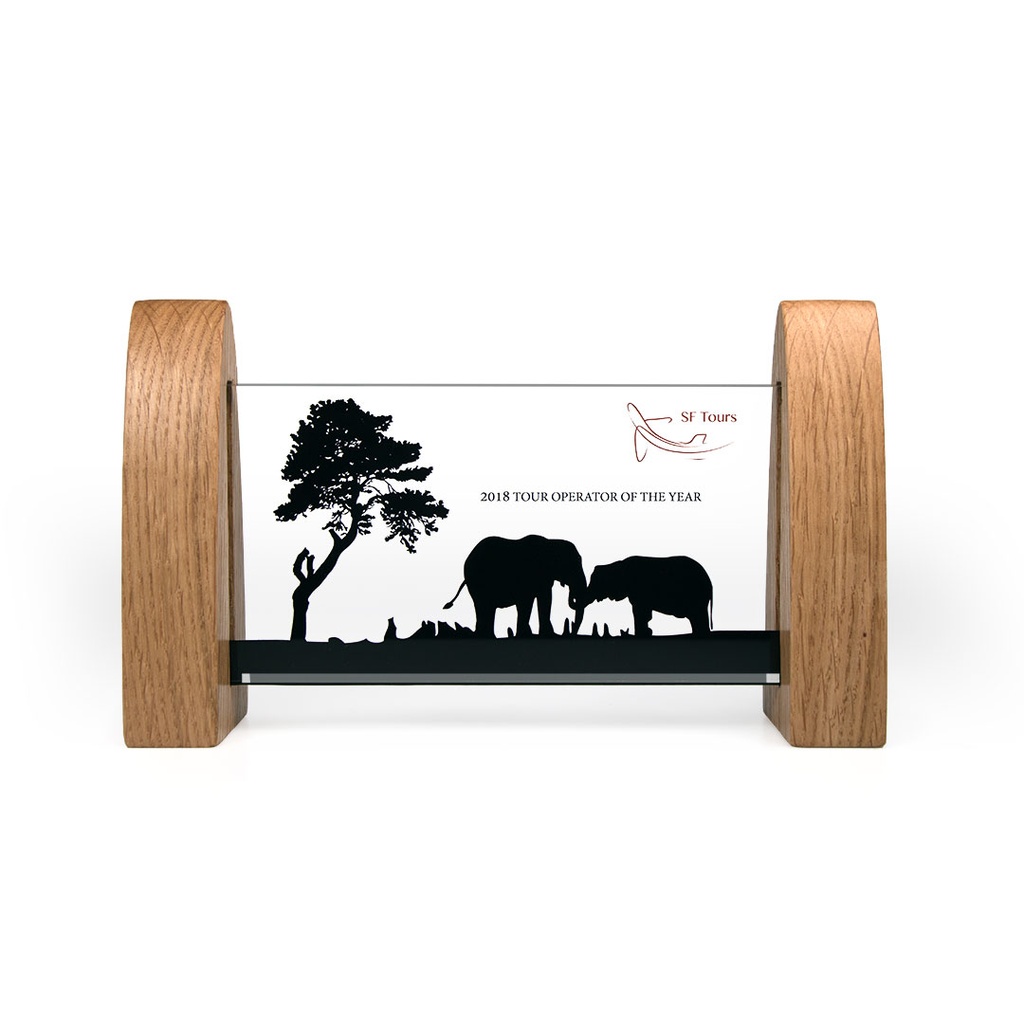 Acrylic Bridge Award 180mm x 90mm