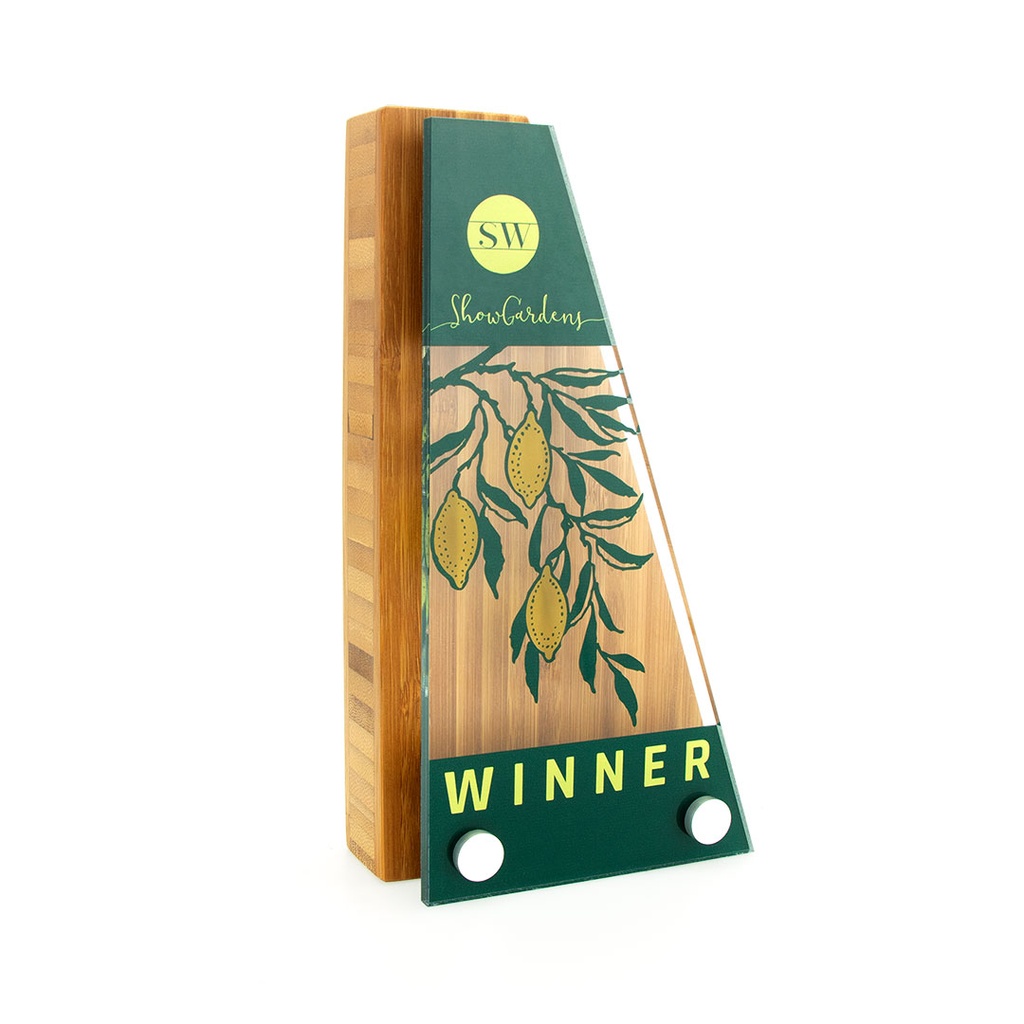 Bamboo Wedge Award 110mm x 200mm With Acrylic Front