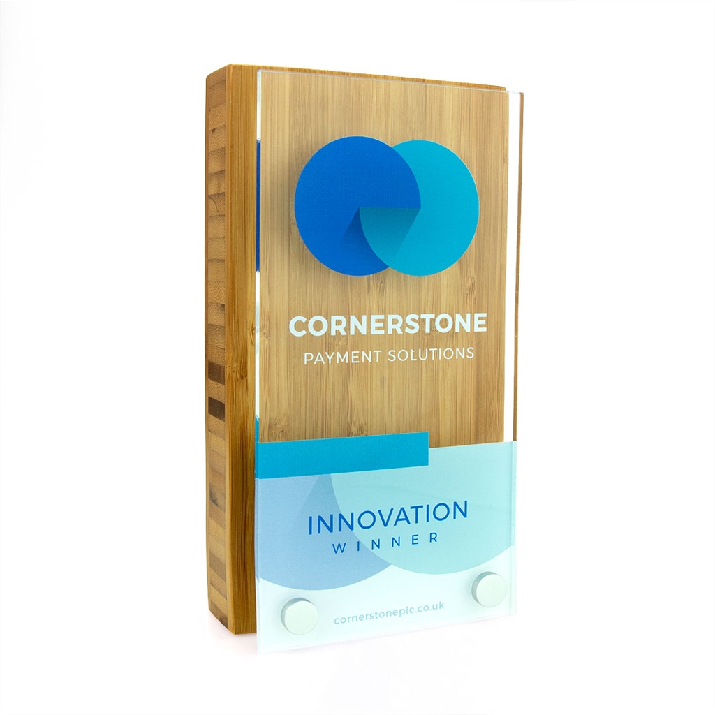 Bamboo Oblong Award 110mm x 200mm With Acrylic Front