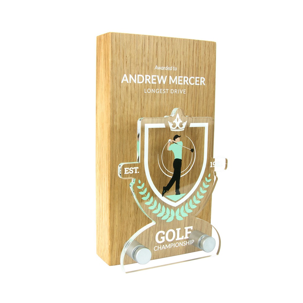 Oblong Award 95mm x 175mm With Bespoke Acrylic Front