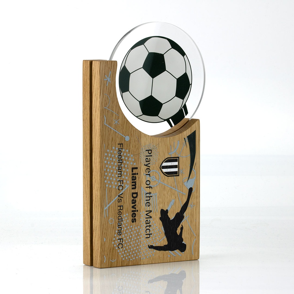 Oak Layered Acrylic Hovering Circle Award