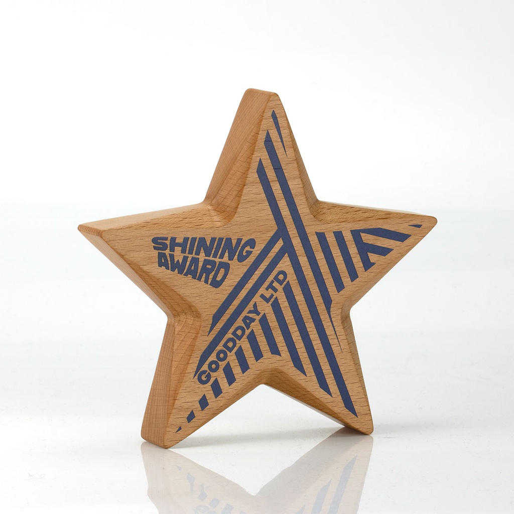 Faceted Star Award 168mm x 160mm