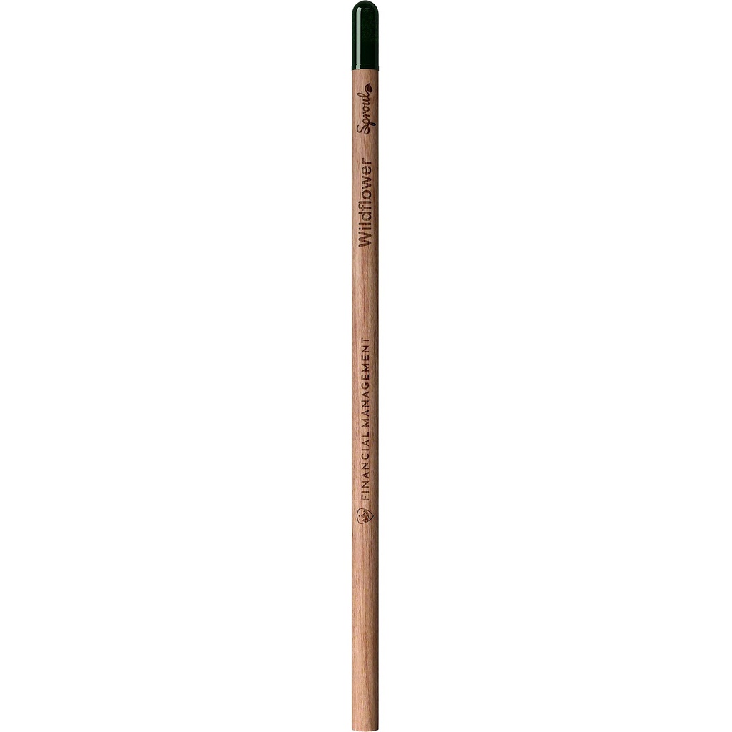 Sproutworld unsharpened pencil