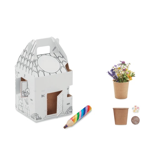[MO2223] House Shaped Seeds Grow Set