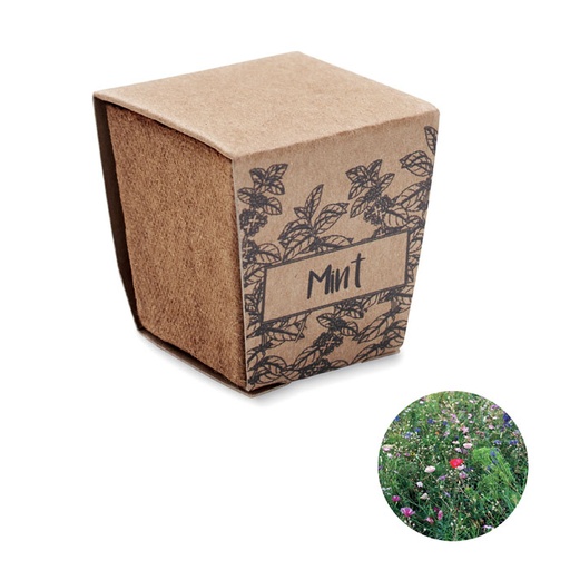 [MO2410-13] Mint Seeds Growing Kit