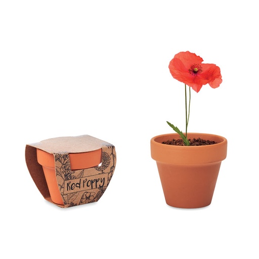 [MO6148-40] Terracotta Pot 'Poppy'