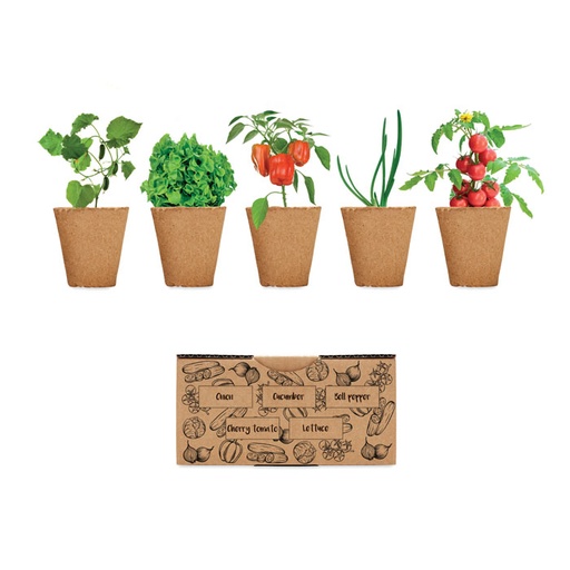 [MO6499-13] Salad Growing Kit