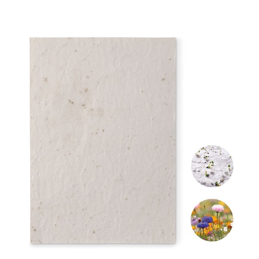 [MO6915-06] A5 Wildflower Seed Paper Sheet
