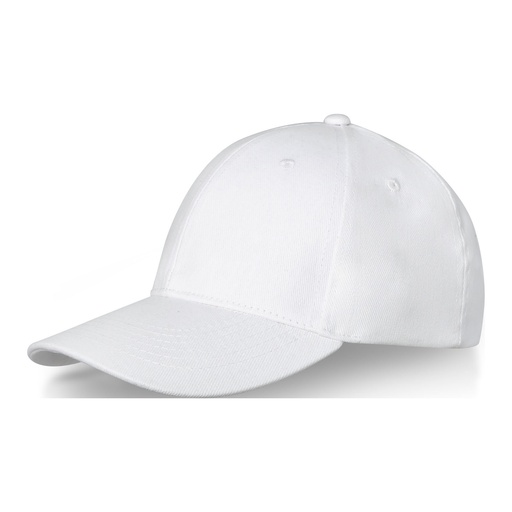 Davis 6 panel cap