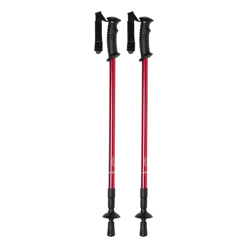 Nordic Walking Sticks