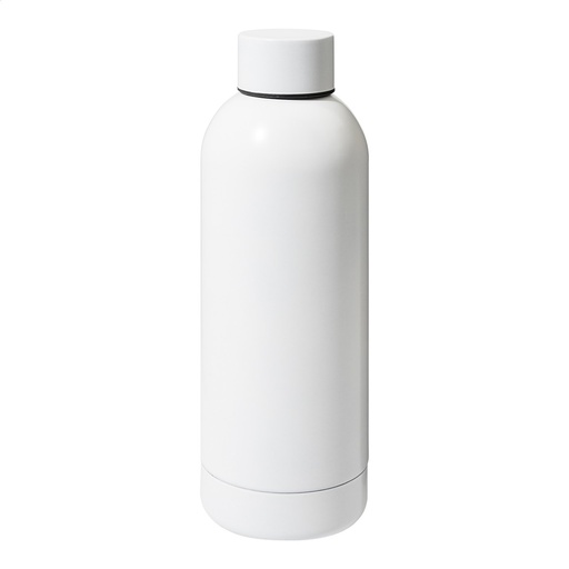 Stainless Steel Bottle