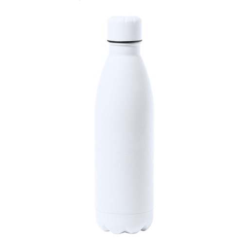 Stainless Steel Bottle