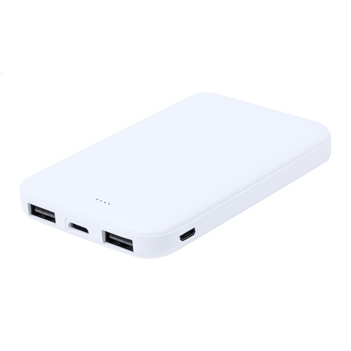 [AP733949-01] Rabs Power Bank