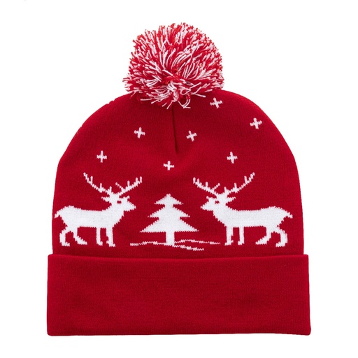 [AP800221-05] Christmas Winter Hat