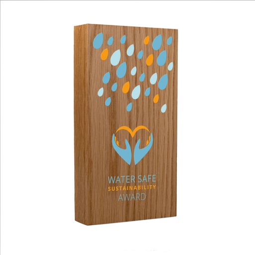 Real Wood Oblong Award 70mm x 125mm