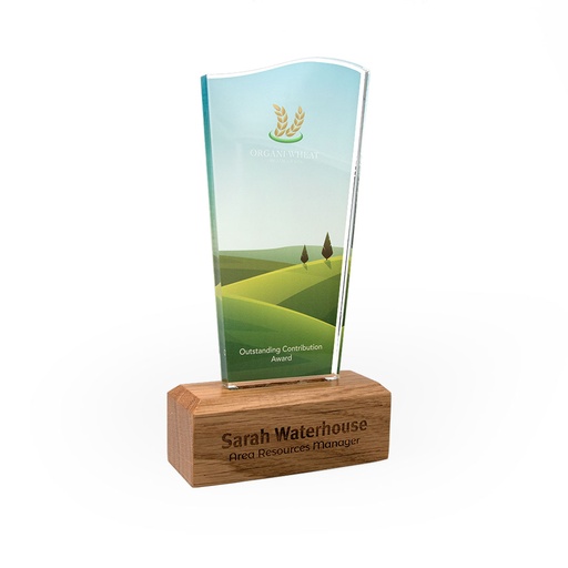 [ACRFS-WD2-2] Wave Acrylic Award 125mm x 225mm With 28mm Wooden Base