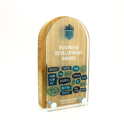 [BMB-A30A-2-6] Bamboo Arch Award 80mm x 150mm With Acrylic Front