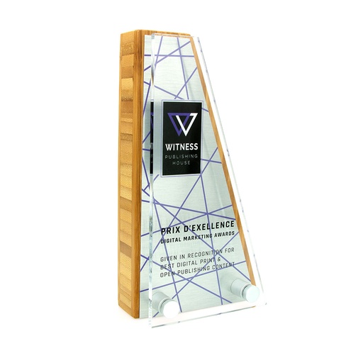 [BMB-A30AA-3-4] Bamboo Wedge Award 95mm x 175mm With Metal Plate & Acrylic Front