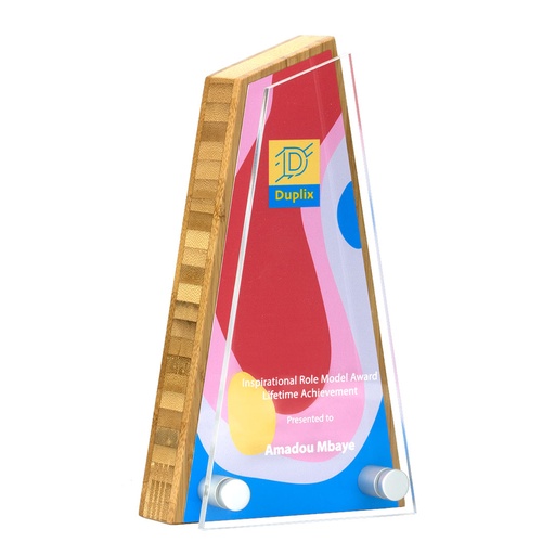 [BMB-A30A-2-18] Bamboo Peak Award 110mm x 195mm With Acrylic Front
