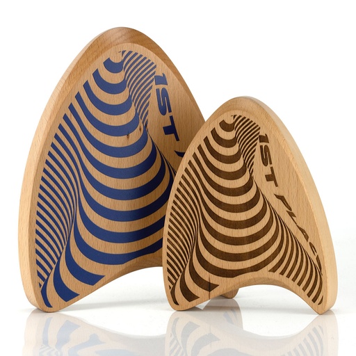[WDFA4-11-BEECH] Delta Award 160mm x 200mm